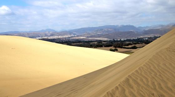 Dunas Maspalomas Gran Canaria sanddyner ørken