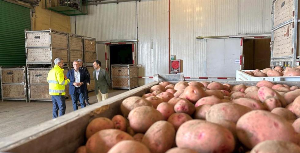 Pusser opp potetlager for 2 millioner euro på Tenerife.