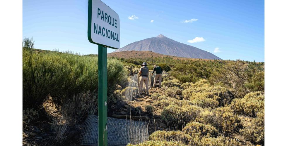 Parque Nacional del Teide 