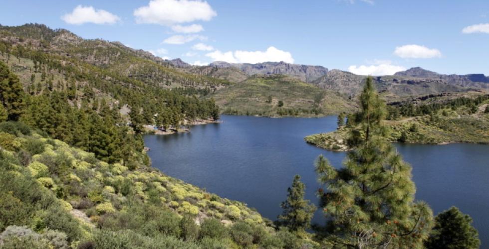 Presa de Niña på Gran Canaria